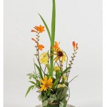 用纸杯和植物制作的精美花卉植物手工教程 教你如何制作这么好看简单的花卉