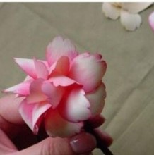 用刨木屑手工制作精美花朵的制作教程 逼真漂亮的木屑花朵的手工制作教程