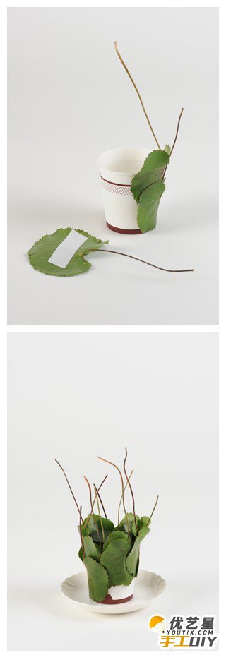 用纸杯和植物制作的精美花卉植物手工教程 教你如何制作这么好看简单的花卉景观 _www.youyix.com