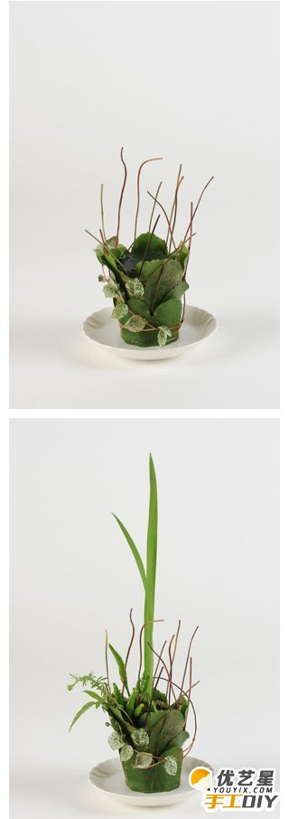 用纸杯和植物制作的精美花卉植物手工教程 教你如何制作这么好看简单的花卉景观 _www.youyix.com