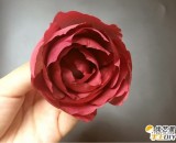 象征着爱情的红玫瑰手工 红玫瑰手工diy制作教程