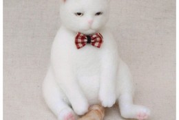 温柔可爱白色小猫咪羊毛毡手工制作　蠢萌小懒猫　简单手工羊毛毡小猫咪教程图解