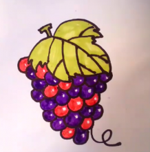 一串葡萄怎么画？葡萄的简笔画画法 普通儿童画卡通画手绘教程