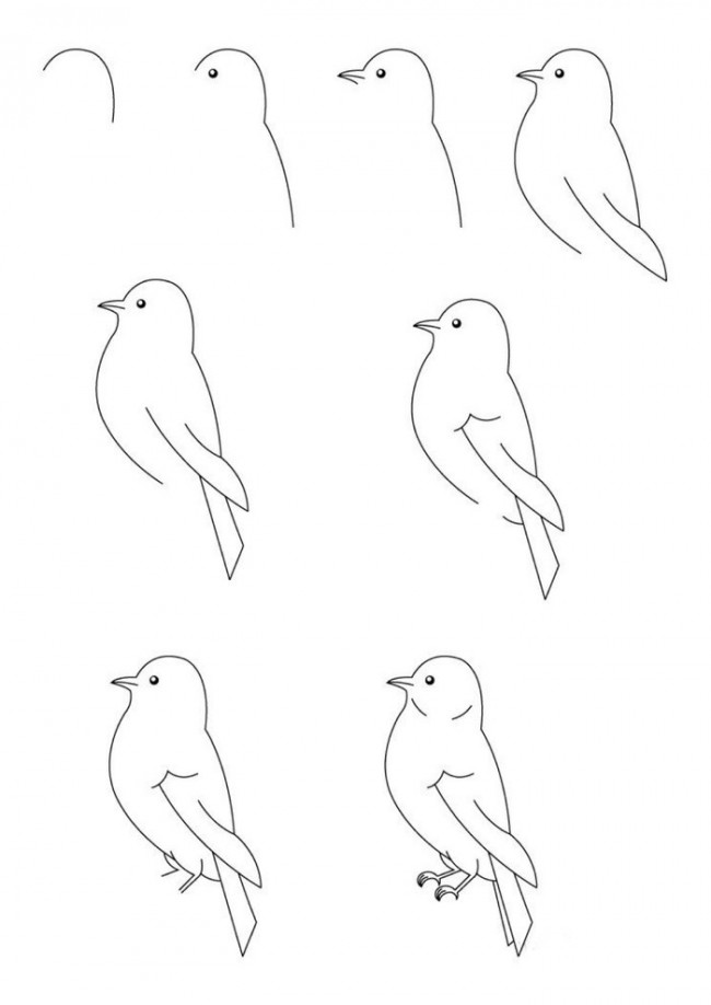 小鸟简笔画的画法 小鸟怎么画 小鸟的画法