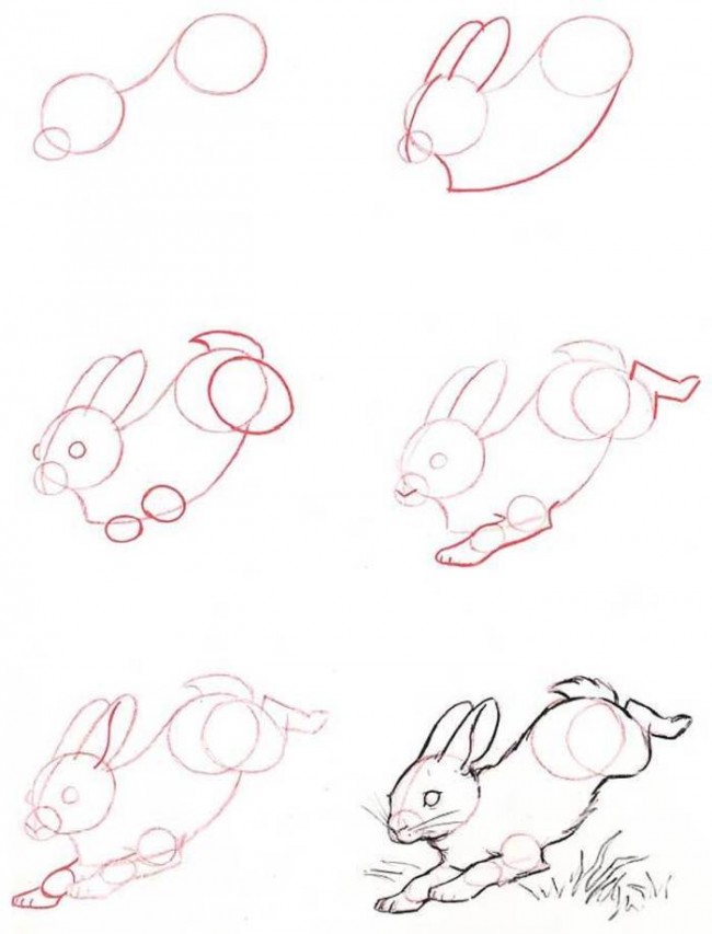 兔子简笔画手绘教程 小兔子怎么画?