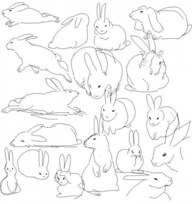 兔子简笔画手绘教程 小兔子怎么画?(2)