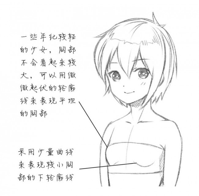 女性胸部怎么画好看 女生的胸部画法 女人胸部漫画绘画技巧 卡通画