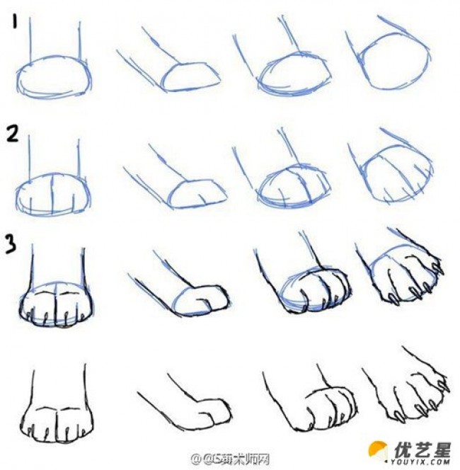 动物脚步各个角度姿势演示结构图片素材 动物脚怎么画