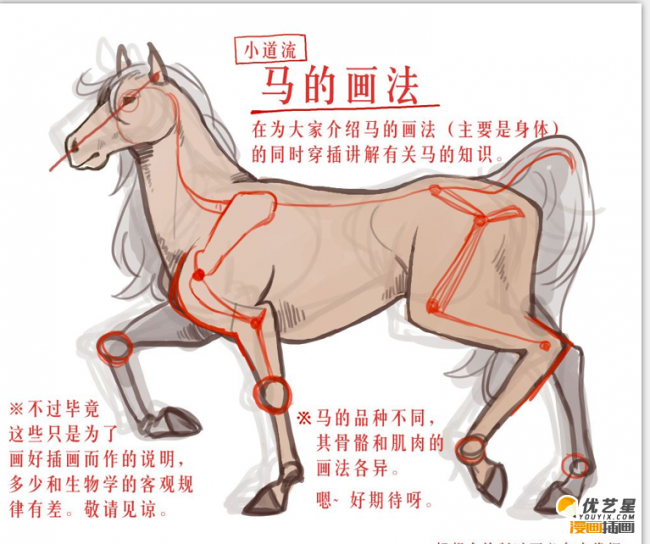 怎么学会描绘一只动态的马分解马的画画教程ps教你画整体动态马