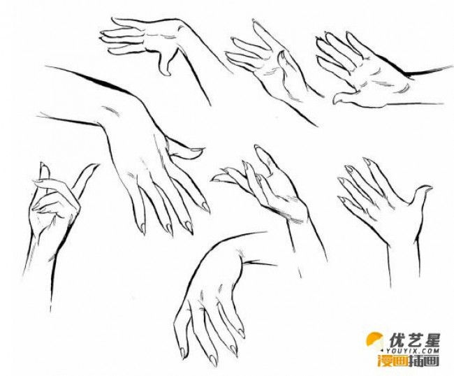 性感的女性上半身怎么绘画? 女性的不同角度pose,手型发型插画素材