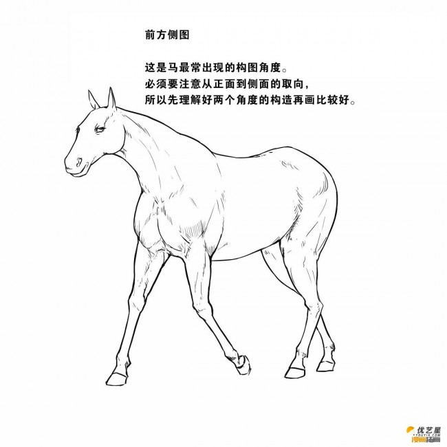 马的简单画法 用线条绘画马的简单绘画教程 绘画马的漫画素材教程