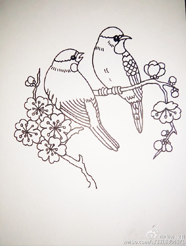 喜鹊简笔画图片彩色 小喜鹊简笔画怎么画教程 喜鹊登梅简笔画水彩上色