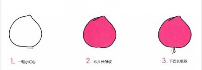 桃子简笔画怎么画 桃子简笔画教程 简单的桃子画法
