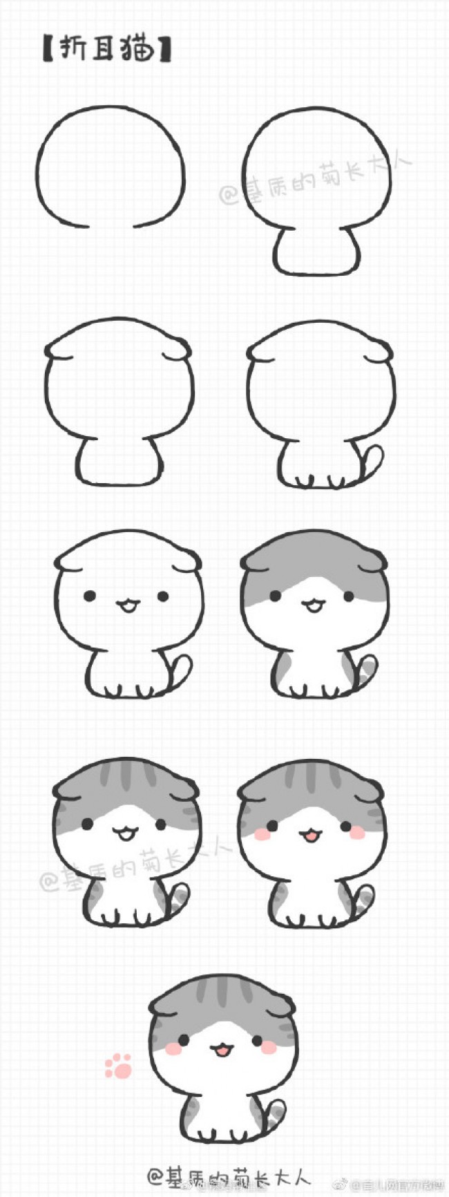 各个品种猫咪简笔画教程图片大全集合-警长猫,波斯猫