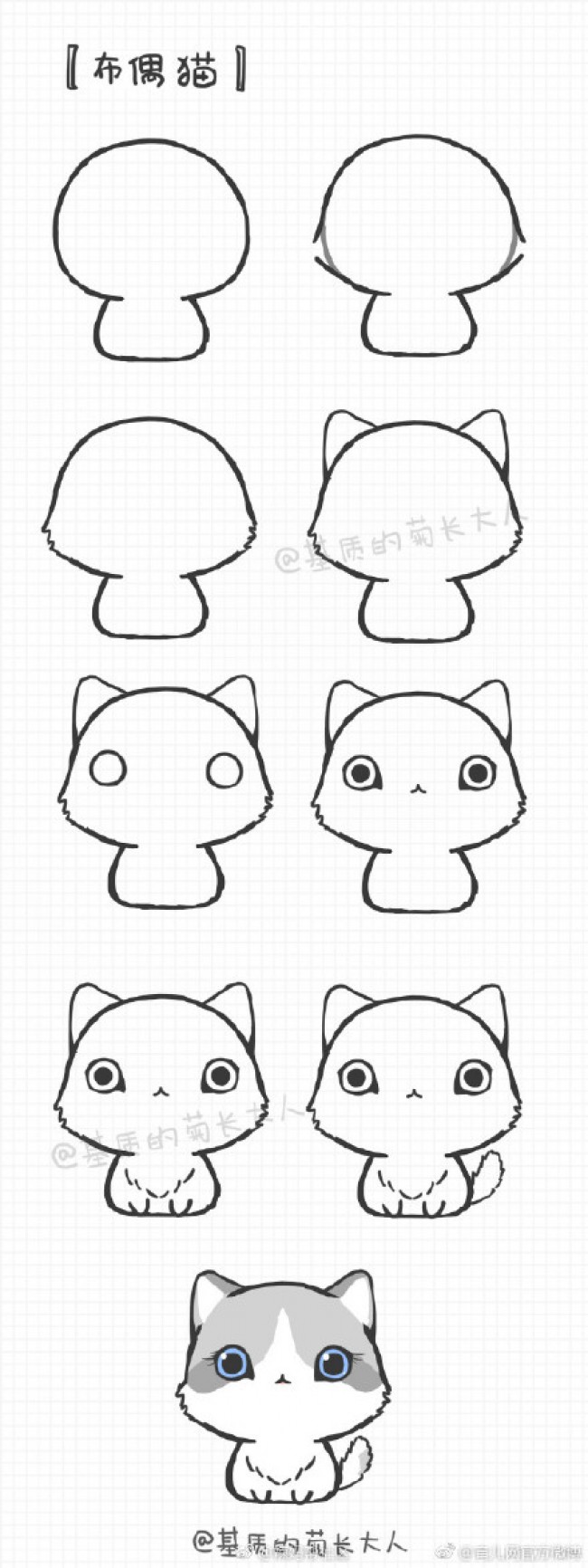 各个品种猫咪简笔画教程图片大全集合-警长猫,波斯猫