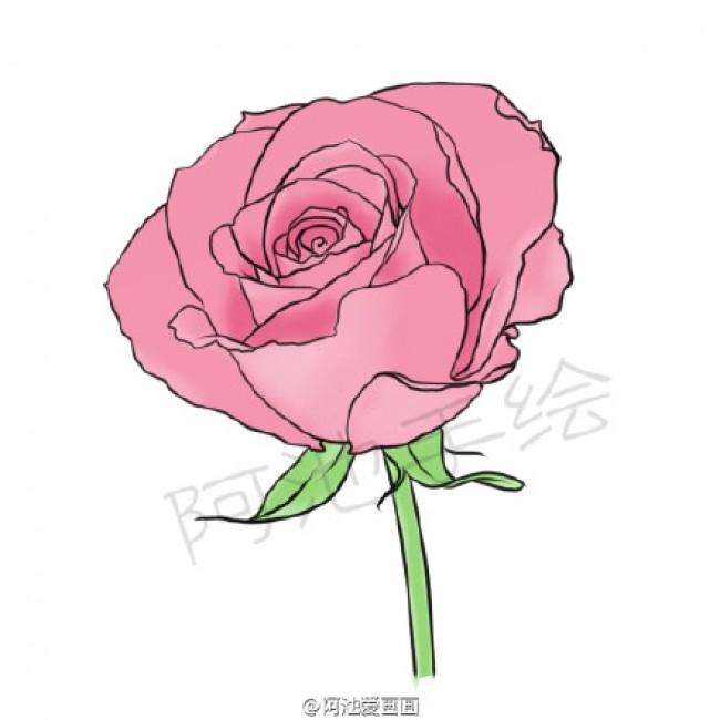 玫瑰花简笔画教程图片 玫瑰花的画法 玫瑰花简笔画怎么画