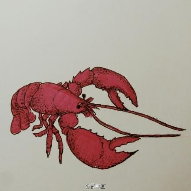 龙虾怎么画 简单的龙虾简笔画画法 小龙虾卡通画画法