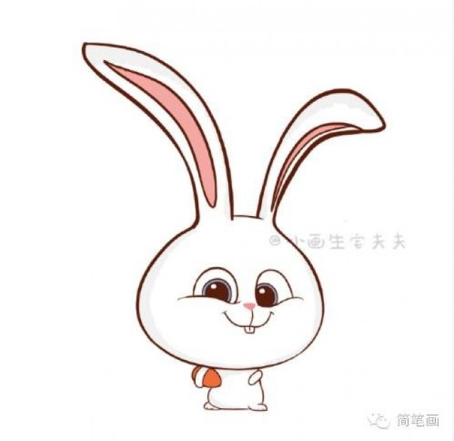 《爱宠大机密》兔子小白简笔画 小兔子简笔画步骤 小兔子图片卡通