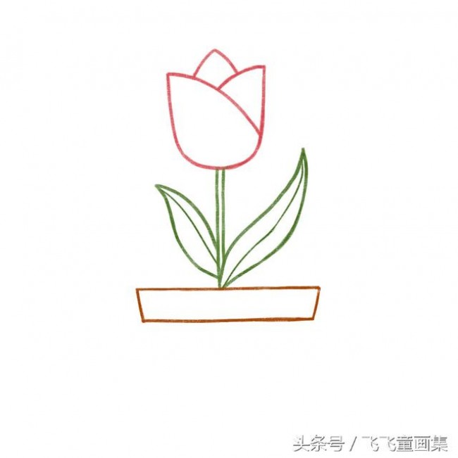 郁金香怎么画 郁金香简笔画画法 郁金香儿童卡通画绘画教程图片