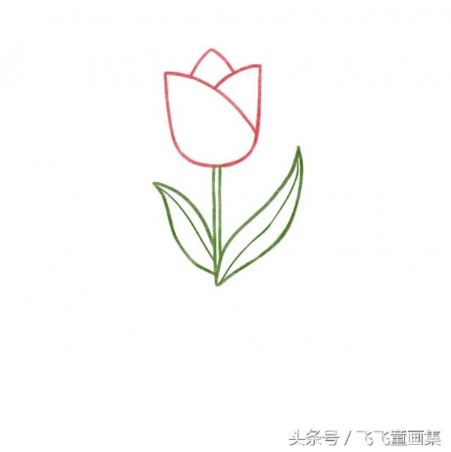 这里我们就要来学习一下最简单的郁金香的 简笔画手绘教