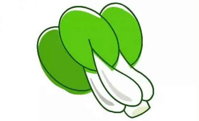 大白菜简笔画的画法 白菜怎么画 白菜的卡通画儿童画白描收回教程