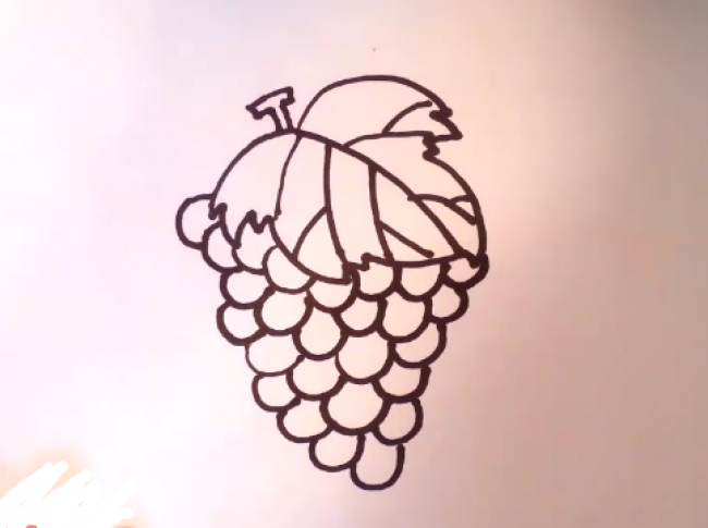 一串葡萄怎么画葡萄的简笔画画法普通儿童画卡通画手绘教程