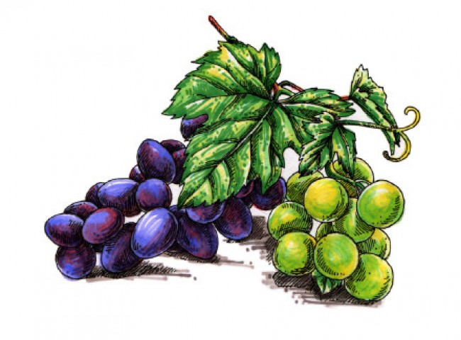 生活小物马克笔上色素描画 造型塑造和色彩运用都很棒 冰箱和食物系列