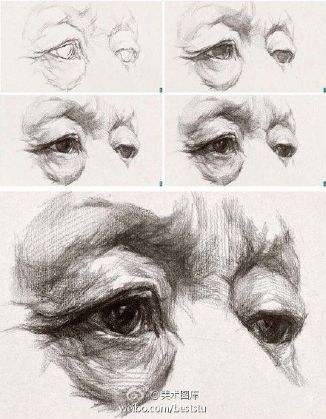 素描眼睛的画法 眼睛的素描结构展示图片多款 眼睛的素描教程步骤