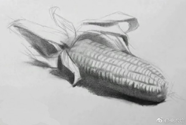 玉米的素描画画法玉米素描怎么画玉米素描教程图片步骤