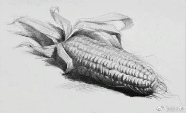 素描画