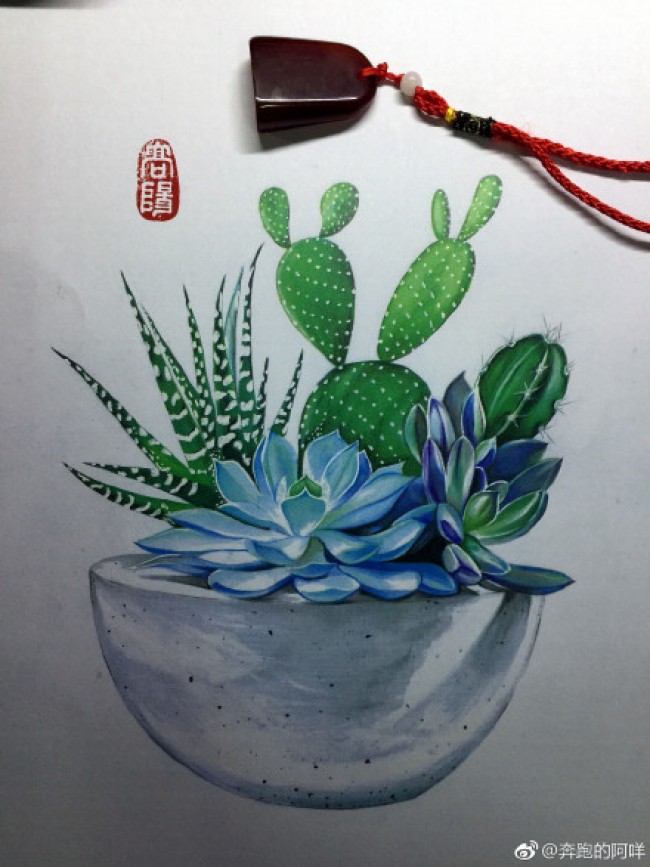 仙人掌多肉植物马克笔手绘教程图片多肉植物马克笔上色怎么画画法教程