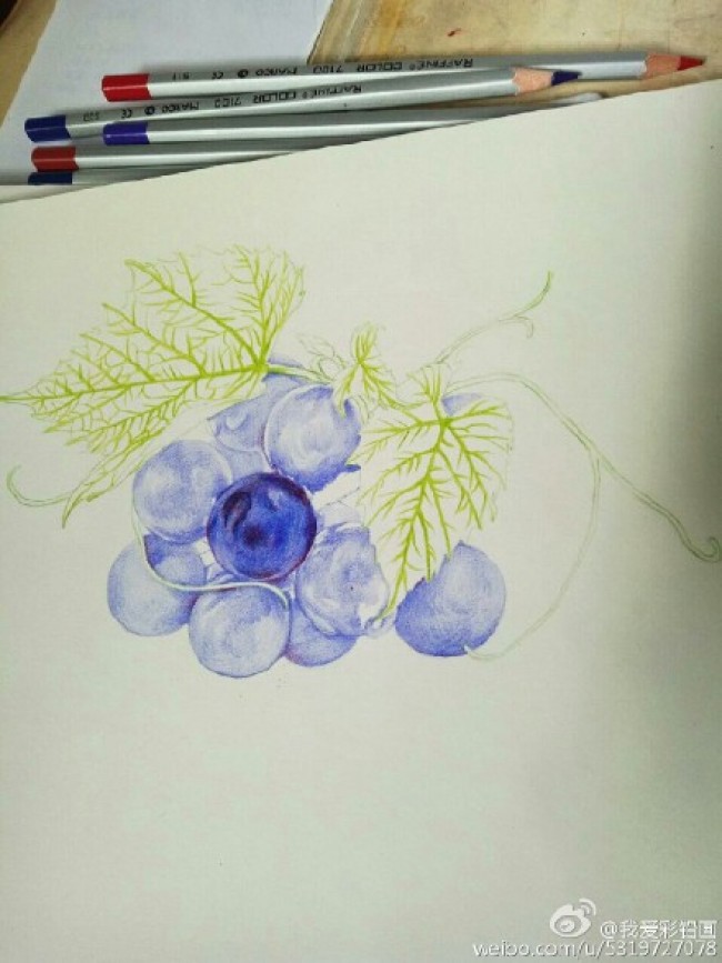 立体逼真3d感很强的葡萄彩铅画图片 葡萄彩铅手绘教程画法步骤_www.