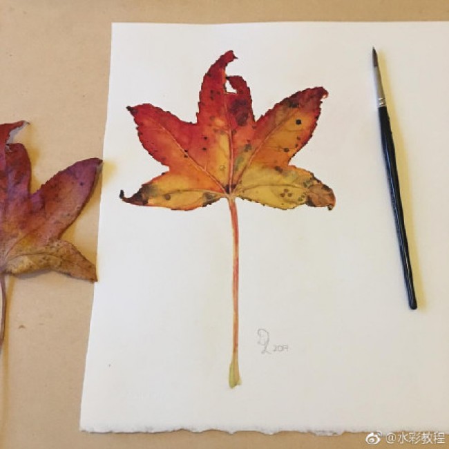 秋叶水彩画图片秋天树叶水彩画手绘教程枫叶落叶水彩画怎么画画法
