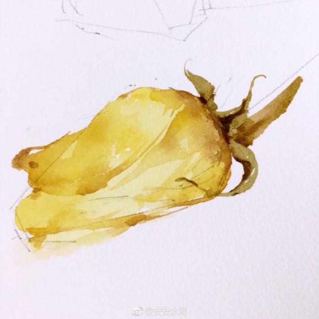 枯萎凋谢的玫瑰花水彩画图片 凋谢的玫瑰花卉手绘教程画法