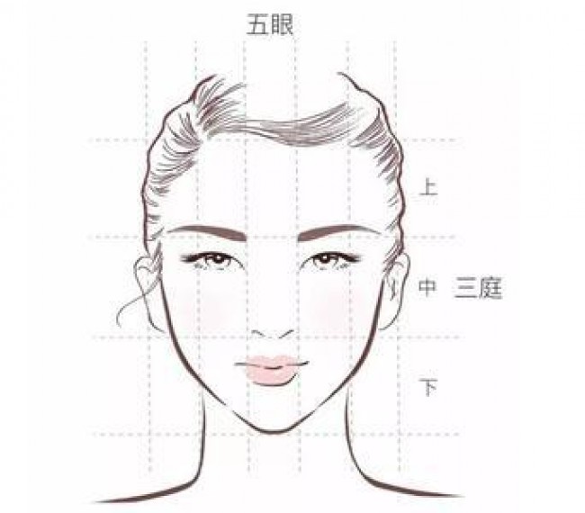日漫人物角色脸型与脸部结构演示讲解画法图片脸部五官比例结构