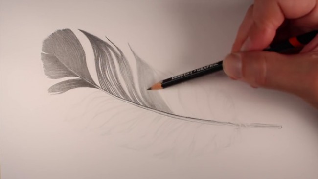 视频一根黑色的羽毛素描画手绘视频教程教你画羽毛的铅笔画