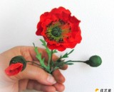 用简单的纸制作出来的精美漂亮红色虞美人花朵    漂亮花朵的手工折纸制作教