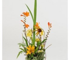 用纸杯和植物制作的精美花卉植物手工教