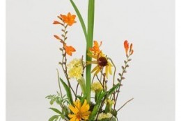 用纸杯和植物制作的精美花卉植物手工教程 教你如何制作这么好看简单的花卉景观 