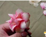 用刨木屑手工制作精美花朵的制作教程 逼真漂亮的木屑花朵的手工制作教程