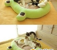 可爱手工制作宠物睡床     猫咪小狗沙发