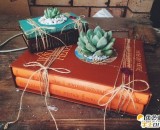 超有创意的精美书本植物盆栽 还能用来做装饰的文艺盆栽  教你如何用书本制作