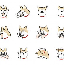 28个狗狗头像动作卡通简笔画展示素材
