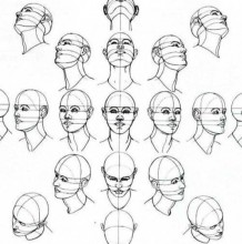 人体头部各个角度的展示和结构分解图