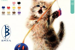 站立的猫咪玩球画面绘画教程 铅笔画画法 毛茸茸逼真细腻