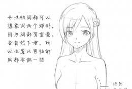 女性胸部怎么画好看 女生的胸部画法 女人胸部漫画绘画技巧 卡通画教程