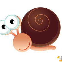 可爱的圆滚滚的蜗牛插画怎么画 带详细讲解的蜗牛绘画教程