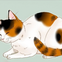 静态的猫咪插画教程 怎么快速画好猫的7步骤 带线稿与上色的教程素材
