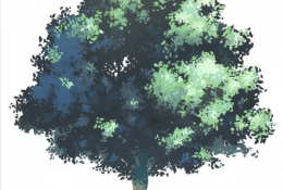 绿油油的树木怎么画 好看的树木PS插画 通俗易懂的教程