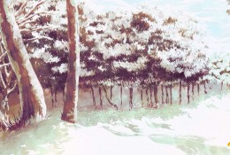 冬天的森林场景素材   各种漂亮冬日森林景象漫画素材绘画教程